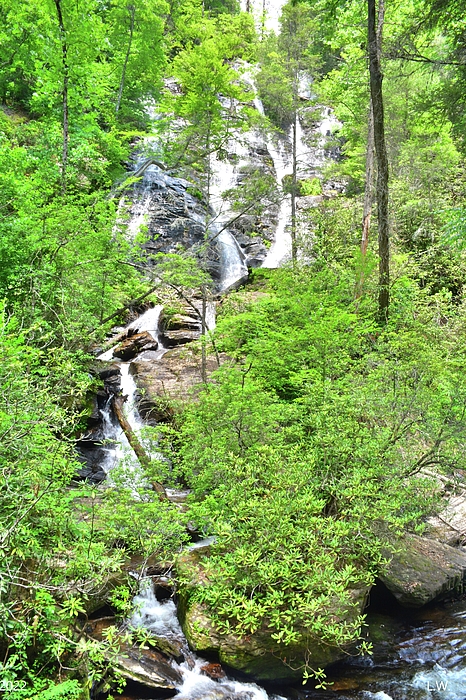 Lisa Wooten - Dukes Creek Falls Vertical