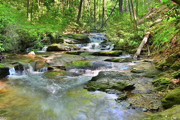 Lisa Wooten - Dukes Creek In White County Georgia