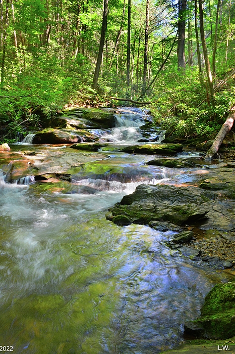 Lisa Wooten - Dukes Creek In White County Georgia Vertical