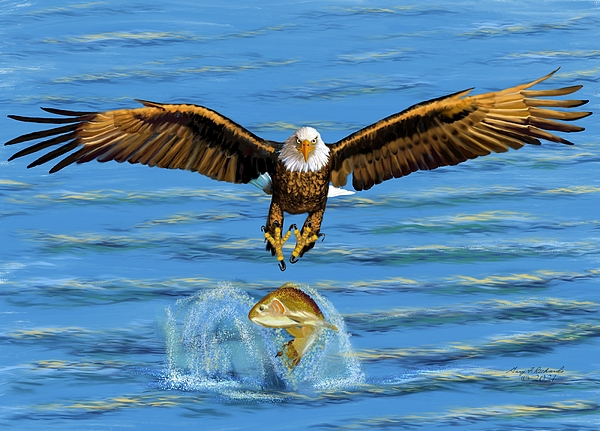 Gary F Richards - Eagle Midair Catch