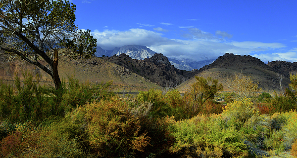 Glenn McCarthy - Eastern Sierra Nevada Mountains From Diaz Lake