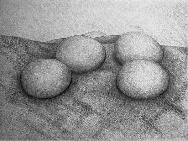 Egg Drawings