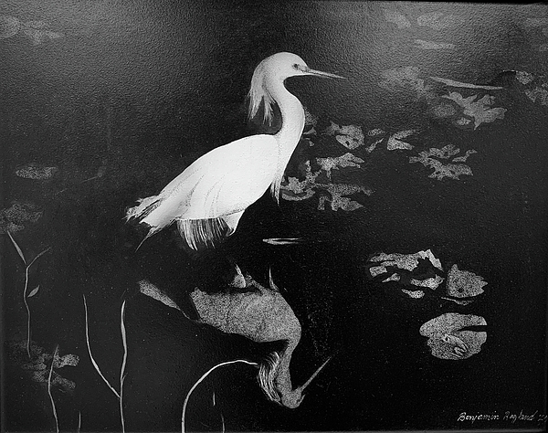 Nature Drawings
