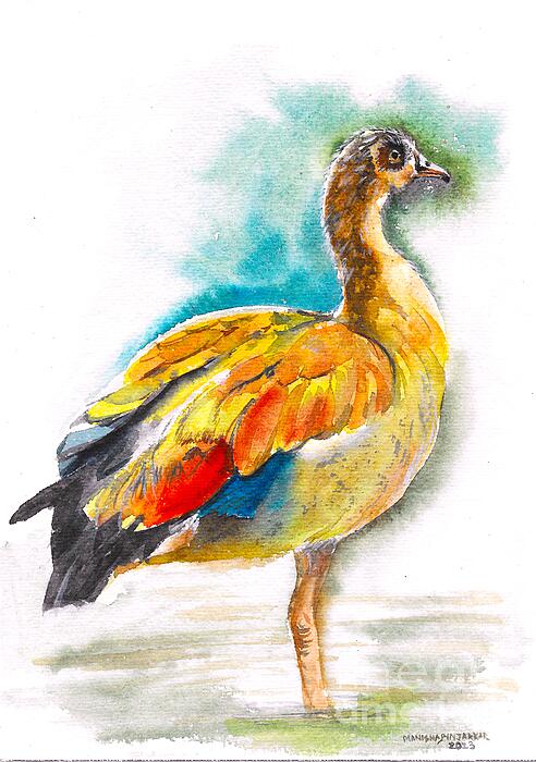 Manisha Pinjarkar - Egyptian Duck/Goose
