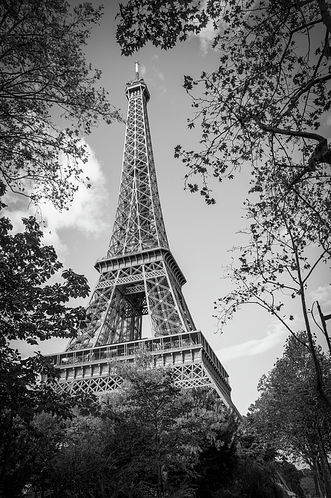 https://images.fineartamerica.com/images/artworkimages/medium/3/eiffel-tower-framed-by-trees-bw-john-twynam.jpg