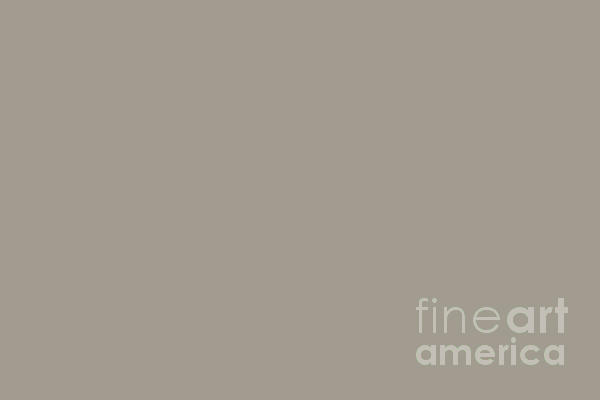 Idealistic Neutral Grey Green Solid Color Pairs To Sherwin Williams Rare  Gray SW 6199 Digital Art by PIPA Fine Art - Simply Solid - Pixels