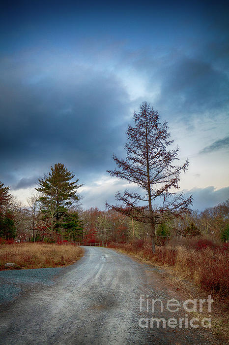 Renata Natale - Empty Country Road Pocono Mountains