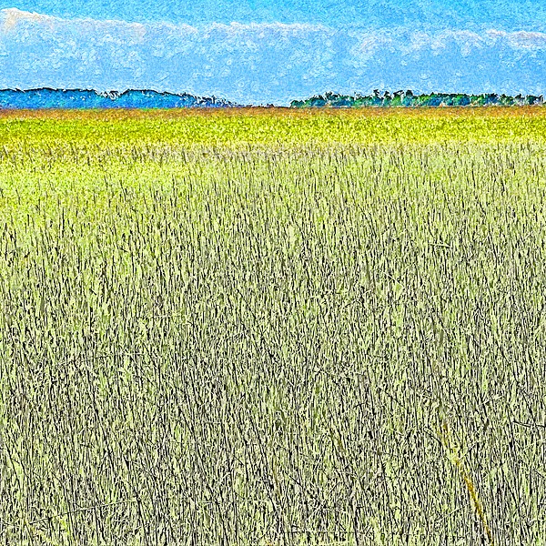 Georgia Digital+art
