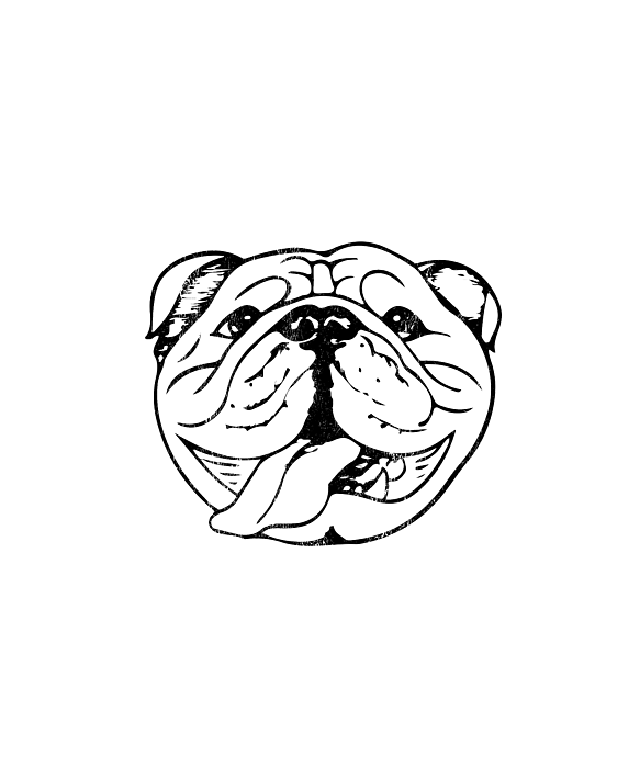 english bulldog outline