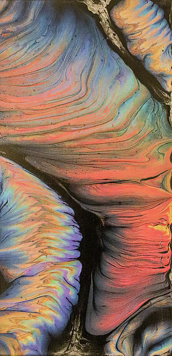 Contemporary Art