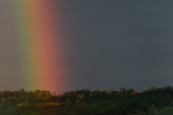 Eckart Mayer Photography - Evening rainbow illuminating the forest