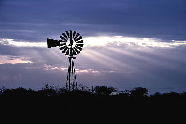 Stephen Tulcus - Evening Windmill Skies