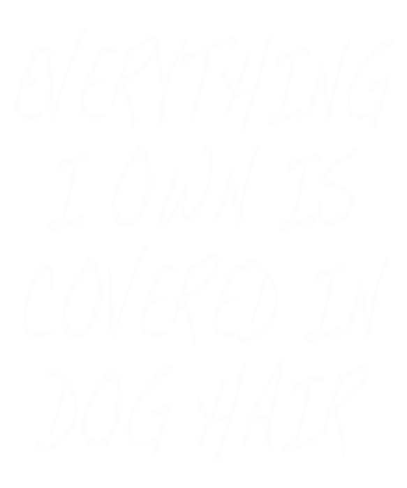 Everything I Own Is Covered In Dog Hair Funny Pet Love Shirt Everything I Own Is Covered In Dog Hair Funny Pet Love Shirt