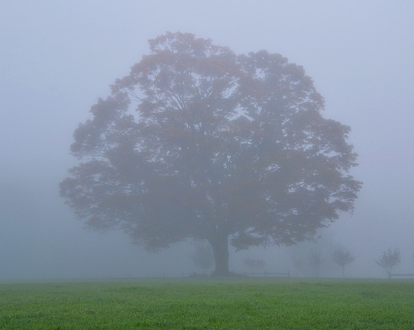 Warren LaBaire Photography - Extremely Foggy