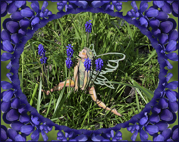 Katherine Nutt - Faery in the Grape Hyacinth bordered