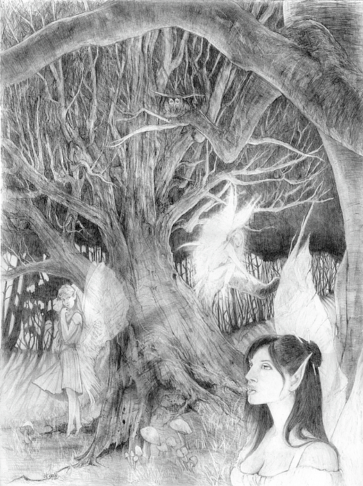 Sketch Art