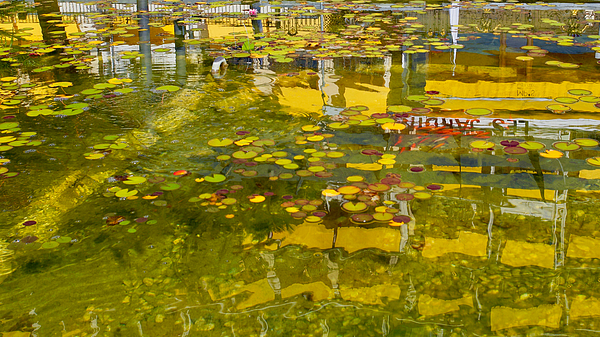 Joe Vella - Fairmont Le Montreux Palace reflected in a pond, Montreux, Switzerland.