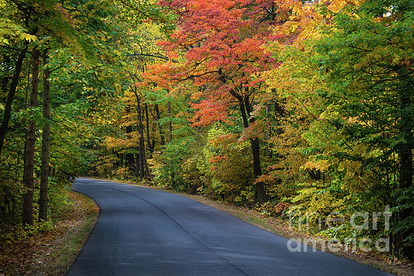 Fall Art