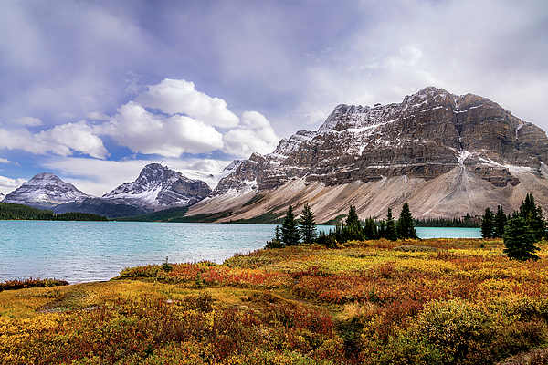 Harry Beugelink - Fall Colors at Bow Lake in the Canadian Rockies