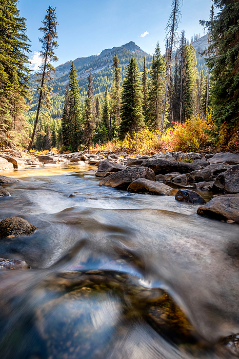 Rocky Mountain Art