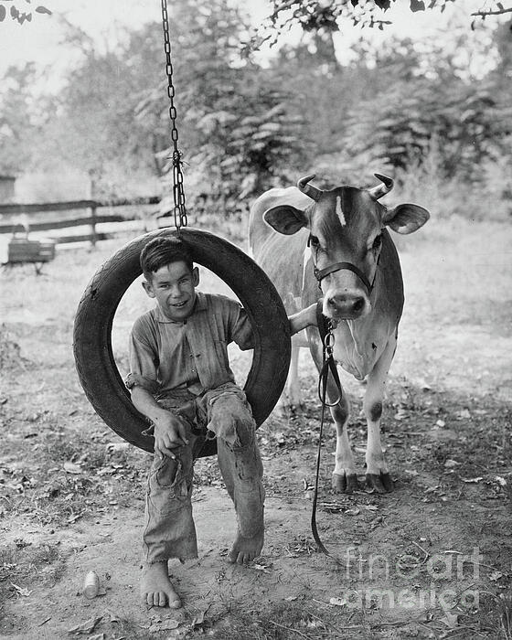 Best of Vintage - Farm life - Boy on a tire swing holding a cow