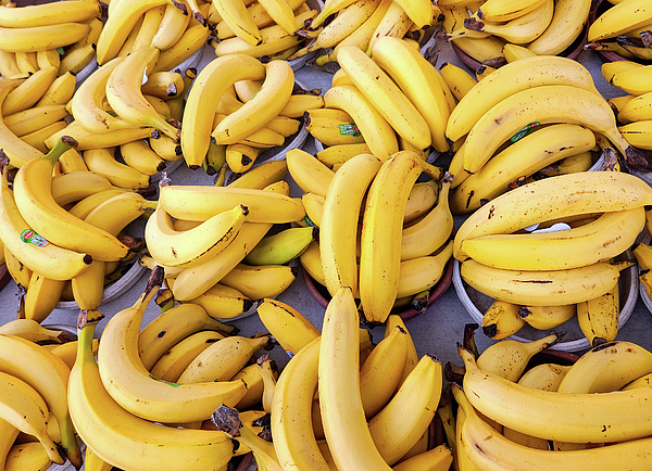 Sharon Williams Eng - Farmers Market Bananas