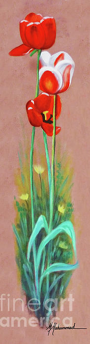 Marcella Muhammad - Field Tulips