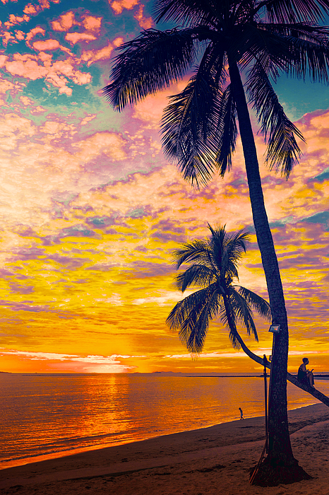 Karen Lindale - Fiji Sunset