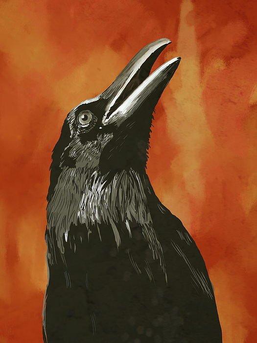 Bird Art