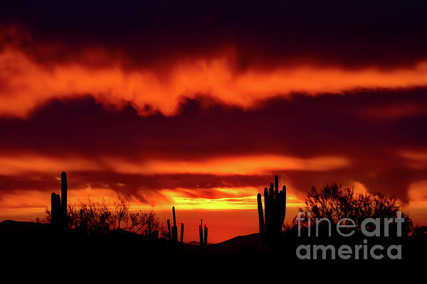 Sky Photographs