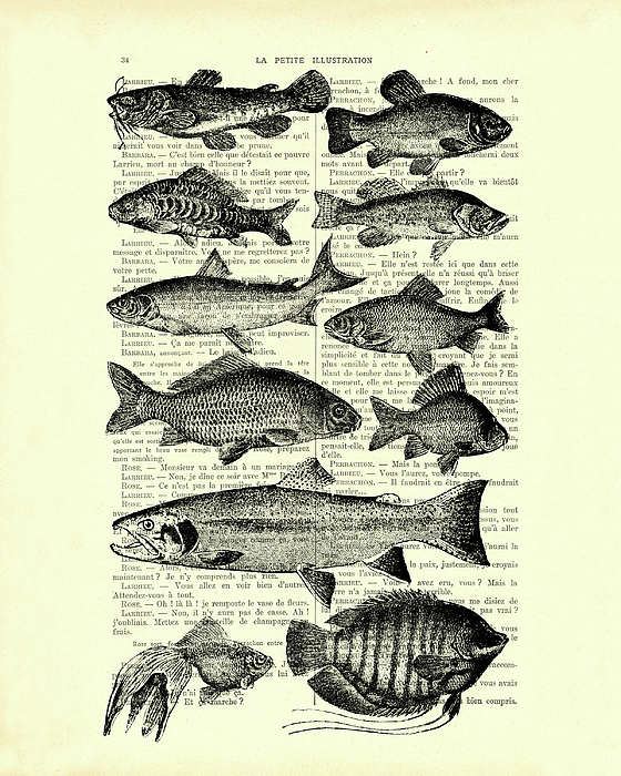 Fish species collection in black and white Jigsaw Puzzle by
