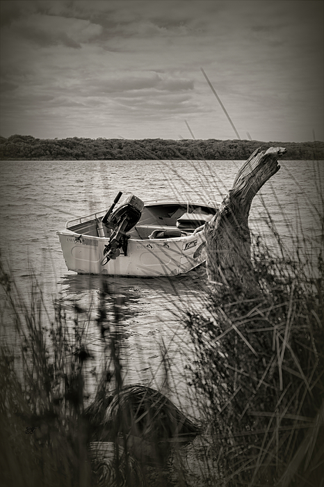 https://images.fineartamerica.com/images/artworkimages/medium/3/fishing-boat-augusta-western-australia-elaine-teague.jpg