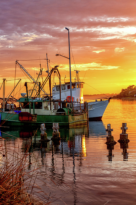 Kevin Hellon - Fishing boats at sunrise. 