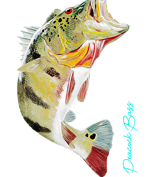 Fishing PEACOCK BASS Fishing Art Gif For Dad Sticker by Conlab Kerhy -  Pixels