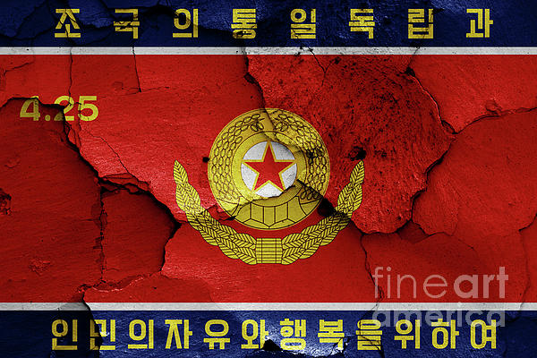 flag of Korean People's Army Ground Force painted on cracked wall ...