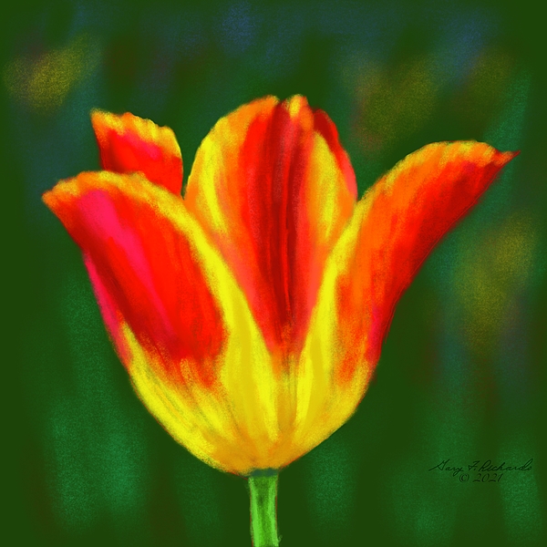 Gary F Richards - Flaming Tulip