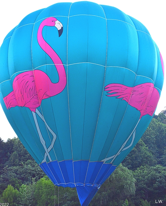 Lisa Wooten - Flamingo Hot Air Balloon