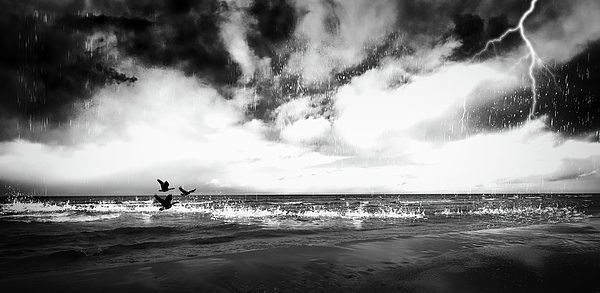 Aleksandrs Drozdovs - Flight Of Ducks In Inclement Day Special Feature in Camera Art