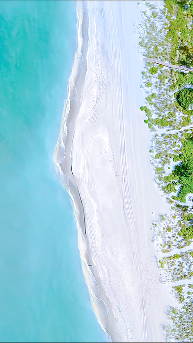 Shoreline Art