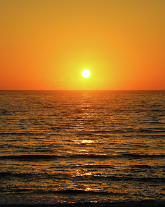 Donna Kaluzniak - Florida Sunrise in Orange
