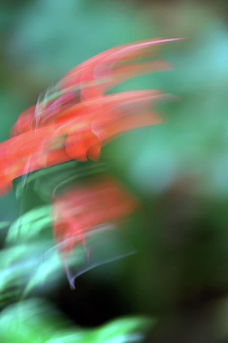 Abstract Art