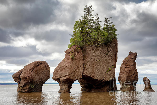 Jane Rix - Flowerpot rocks of Hopewell, New Brunswick
