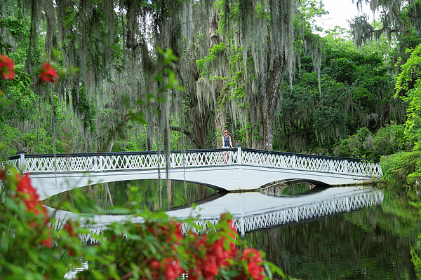 Wayne Moran - Flowers Bridge and Reflections Magnolia Plantation and Gardens Charleston South Carolina