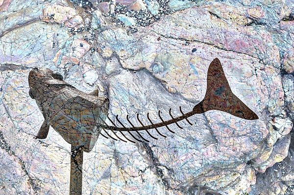 Surreal Art