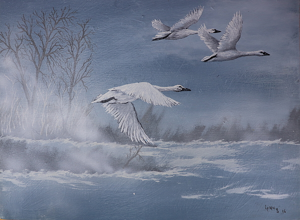 Dreamz - - Flying Swans