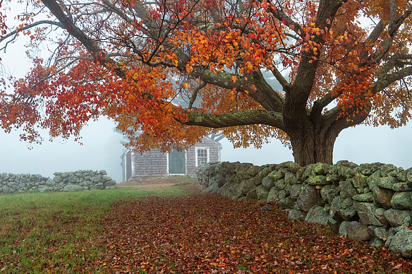 Barn Photographs