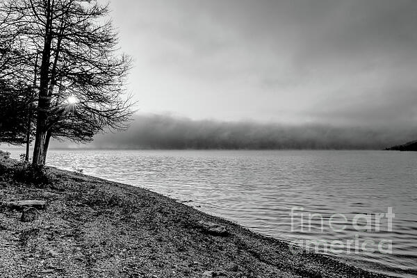 Jennifer White - Foggy Morning Lake Shoreline Grayscale
