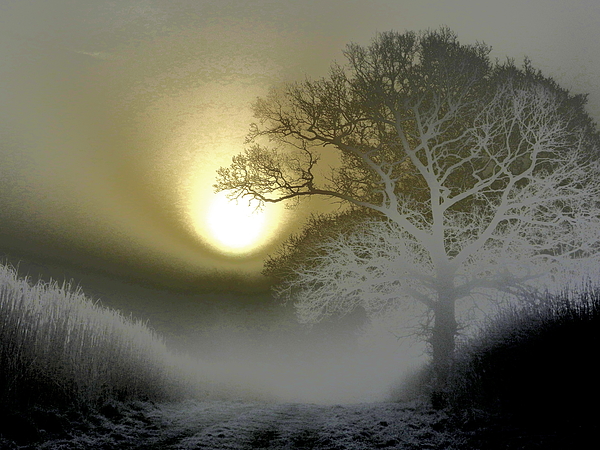 Lynne Iddon - Foggy Winter Sunrise 4