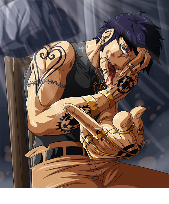 one piece trafalgar law