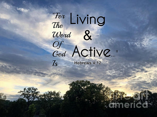 Kathy M Krause - For The Word Of God Is Living And Active